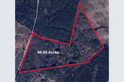 0 305 Highway, Midville, GA 30441 - Photo 1