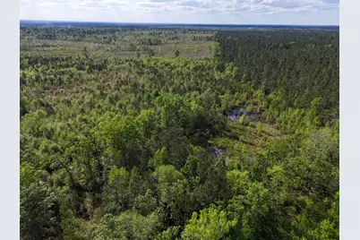 0 305 Highway, Midville, GA 30441 - Photo 16