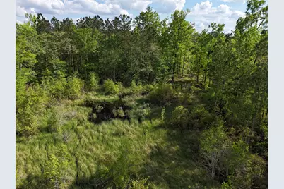 0 305 Highway, Midville, GA 30441 - Photo 10