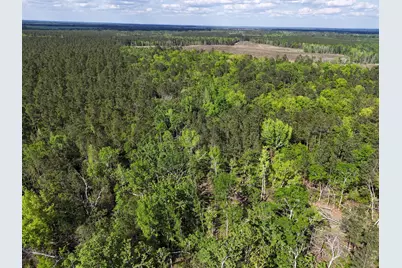 0 305 Highway, Midville, GA 30441 - Photo 18