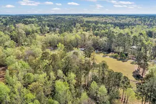 7025 Rance Perry Rd, Appling, GA 30802 - Photo 26