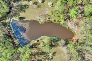 7025 Rance Perry Rd, Appling, GA 30802 - Photo 22