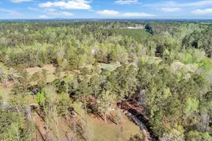 7025 Rance Perry Rd, Appling, GA 30802 - Photo 32