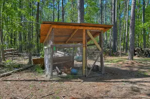 7054 Rance Perry Rd, Appling, GA 30802 - Photo 62