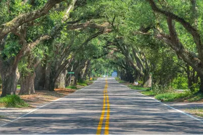 4427 Hartshorn Circle, Aiken, SC 29801 - Photo 36