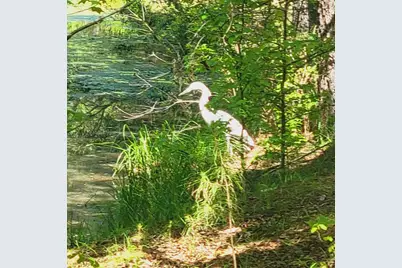 2946 Upper Mill Road, McCormick, SC 29835 - Photo 6