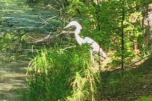 2946 Upper Mill Rd, McCormick, SC 29835 - Photo 6