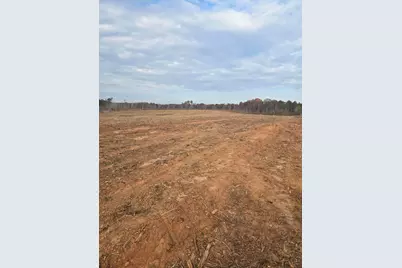 0 Elberton Highway, Lincolnton, GA 30817 - Photo 6