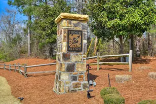 403 Aldrich Ct, Grovetown, GA 30813 - Photo 46