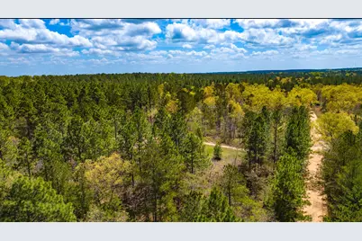 Lot 4 Bluffwood Road, Wagener, SC 29164 - Photo 4