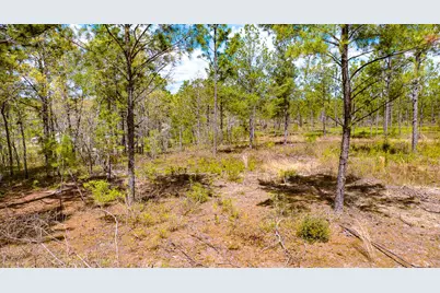 Lot 4 Bluffwood Road, Wagener, SC 29164 - Photo 6