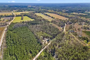 1014 Iler Rd, Pembroke, GA 31321 - Photo 2