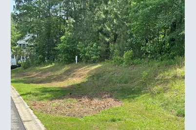0 Mt Vintage Drive #Lot E-5, North Augusta, SC 29860 - Photo 2