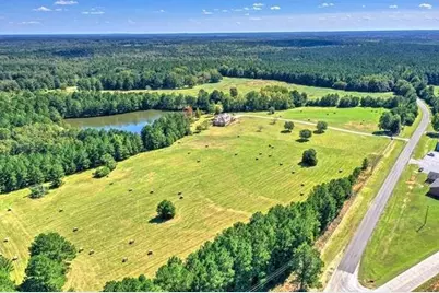 1460 Leathersville Road, Lincolnton, GA 30817 - Photo 16