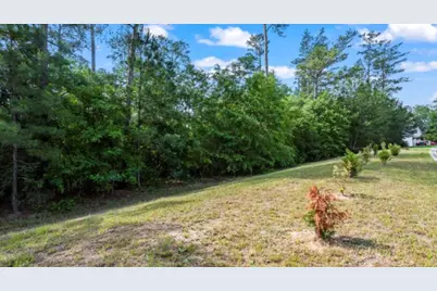 Lot S-17 Scarborough Pass, Aiken, SC 29801 - Photo 2