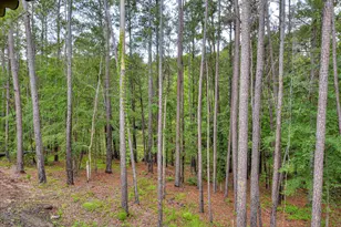 315 Coastal Cove Cove, McCormick, SC 29835 - Photo 34