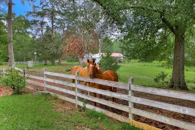 711 Augusta Street Ext Ext, McCormick, SC 29835 - Photo 46