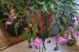 6629 Eubank Dr, Appling, GA 30802 - Photo 22