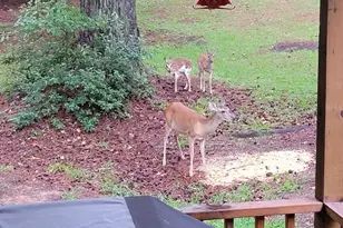 6629 Eubank Dr, Appling, GA 30802 - Photo 24