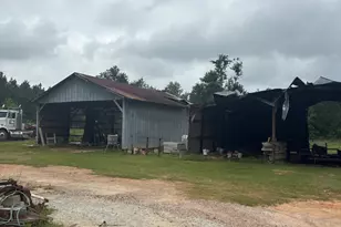 2023 Gamble School Rd, Stapleton, GA 30823 - Photo 6