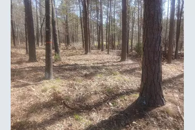 19 Belfast Court, North Augusta, SC 29860 - Photo 4