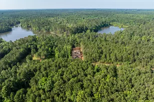 1036 Longleaf Wy, Lincolnton, GA 30817 - Photo 56