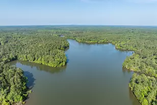 1036 Longleaf Wy, Lincolnton, GA 30817 - Photo 62