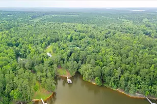 1034 N Pointe Ct, Tignall, GA 30668 - Photo 44