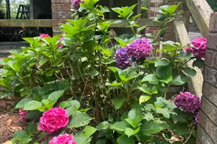 216 Sheppard Dr, Edgefield, SC 29824 - Photo 14