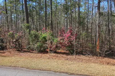 L28 B 3 Bereau Dr Drive, McCormick, SC 29835 - Photo 4