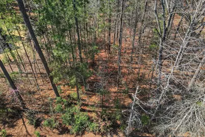 L28 B 3 Bereau Dr Drive, McCormick, SC 29835 - Photo 28