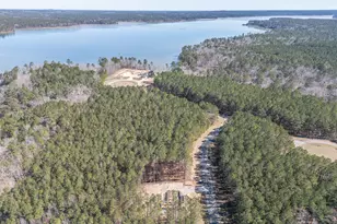 1165 Watersedge Cove, Tignall, GA 30668 - Photo 4