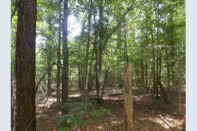 1054 Pine Point Lane, Tignall, GA 30668 - Photo 4