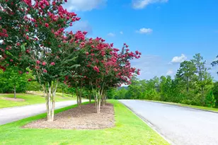 526 Whitby Ct, Aiken, SC 29801 - Photo 12