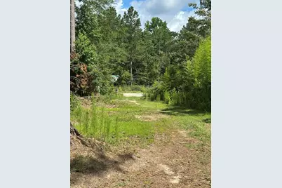 170 Pressley Lane, Hephzibah, GA 30815 - Photo 4