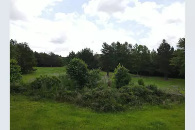 00 Reynolds Road, Barnwell, SC 29812 - Photo 4