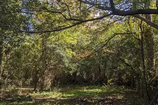 406 Hamilton St, Augusta, GA 30904 - Photo 12