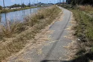 406 Hamilton St, Augusta, GA 30904 - Photo 10