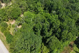 2039 McDade Farm Rd, Hephzibah, GA 30815 - Photo 18