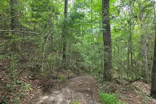 2039 McDade Farm Rd, Hephzibah, GA 30815 - Photo 8