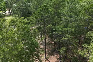 2039 McDade Farm Rd, Hephzibah, GA 30815 - Photo 10