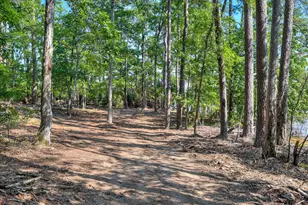 1199 Pawnee Dr, Lincolnton, GA 30817 - Photo 68