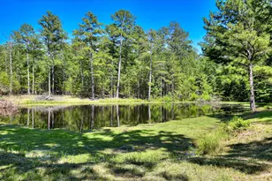 2534 GA-220, Lincolnton, GA 30817 - Photo 32