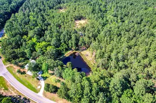 2534 GA-220, Lincolnton, GA 30817 - Photo 38