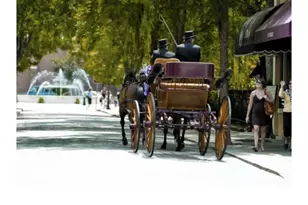 816 Brisbane Ct, Graniteville, SC 29829 - Photo 22