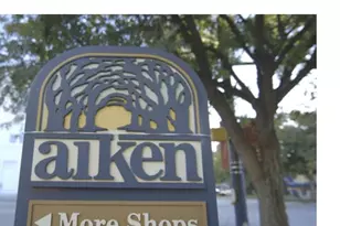 816 Brisbane Ct, Graniteville, SC 29829 - Photo 40