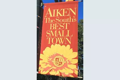 828 Brisbane Court, Graniteville, SC 29829 - Photo 40