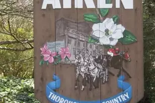 828 Brisbane Ct, Graniteville, SC 29829 - Photo 32