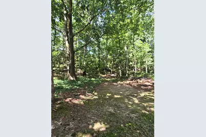 3706 Cooter Creek Road, Elberton, GA 30635 - Photo 8