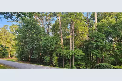 Bl 6 Lot 9 Davis Drive, McCormick, SC 29835 - Photo 4